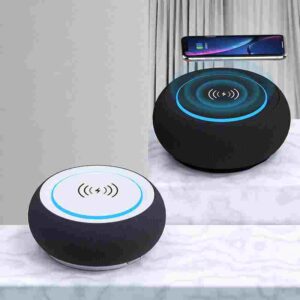 Dual Speaker Wireless Bluetooth Subwoofer