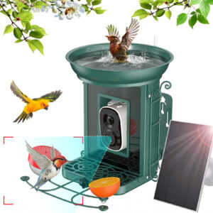 AI Smart Bird Feeder