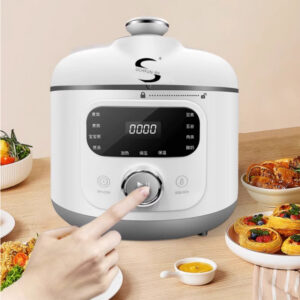 110V V Electric Pressure Cooker Small Household