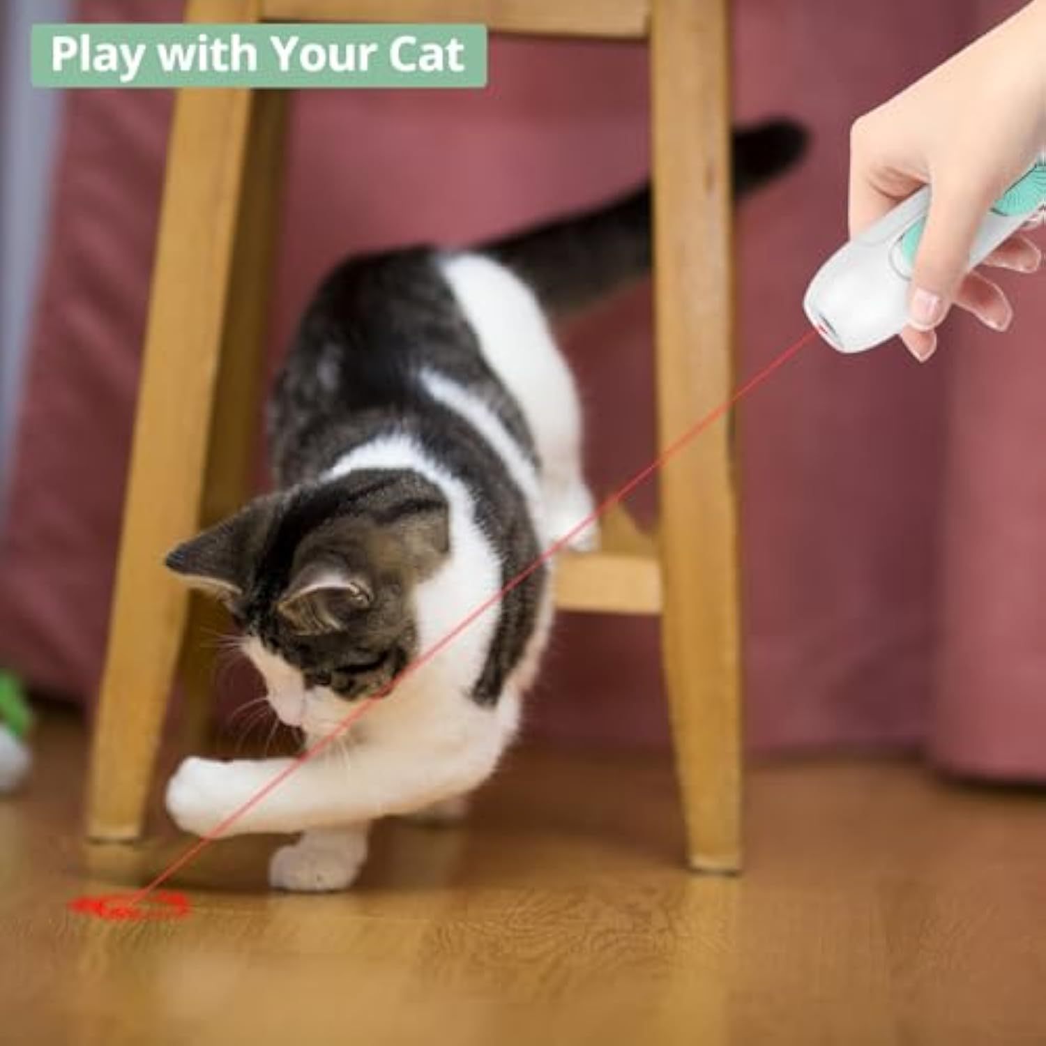 Cat Toy Interactive Rechargeable Laser Pointer Cat Wand With Feather Toy 2-in-1 Cat Toy For Indoor Cat Kitten Pet Laser Toy For Playing - Image 2
