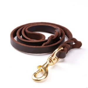 Leather dog leashes