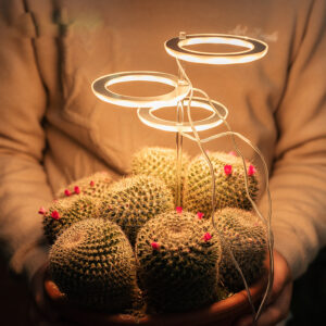 LED Grow Light Full Spectrum