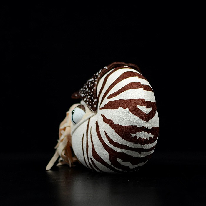Simulation Pearl Nautilus Doll - Image 4