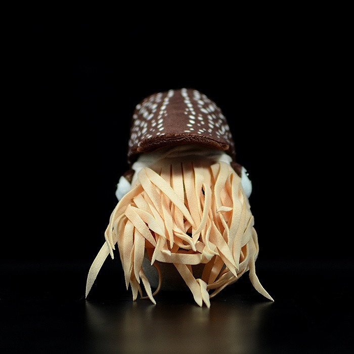 Simulation Pearl Nautilus Doll - Image 2