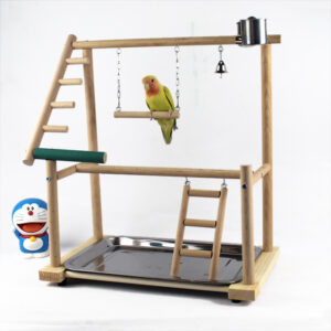 Bird Stand Stand Desktop Training