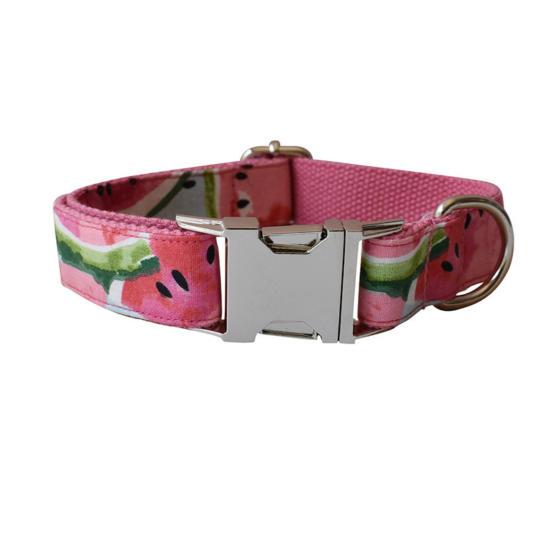 Pet Supplies Dog Collar Pet Leash - Image 4