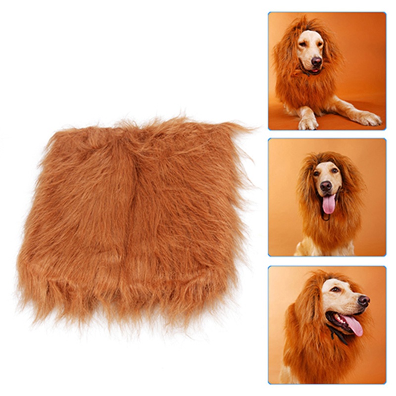 Cute Pet Cosplay Clothes Transfiguration