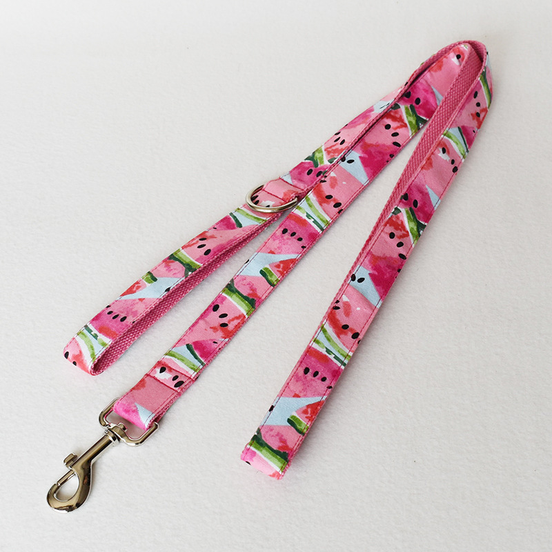 Pet Supplies Dog Collar Pet Leash - Image 5