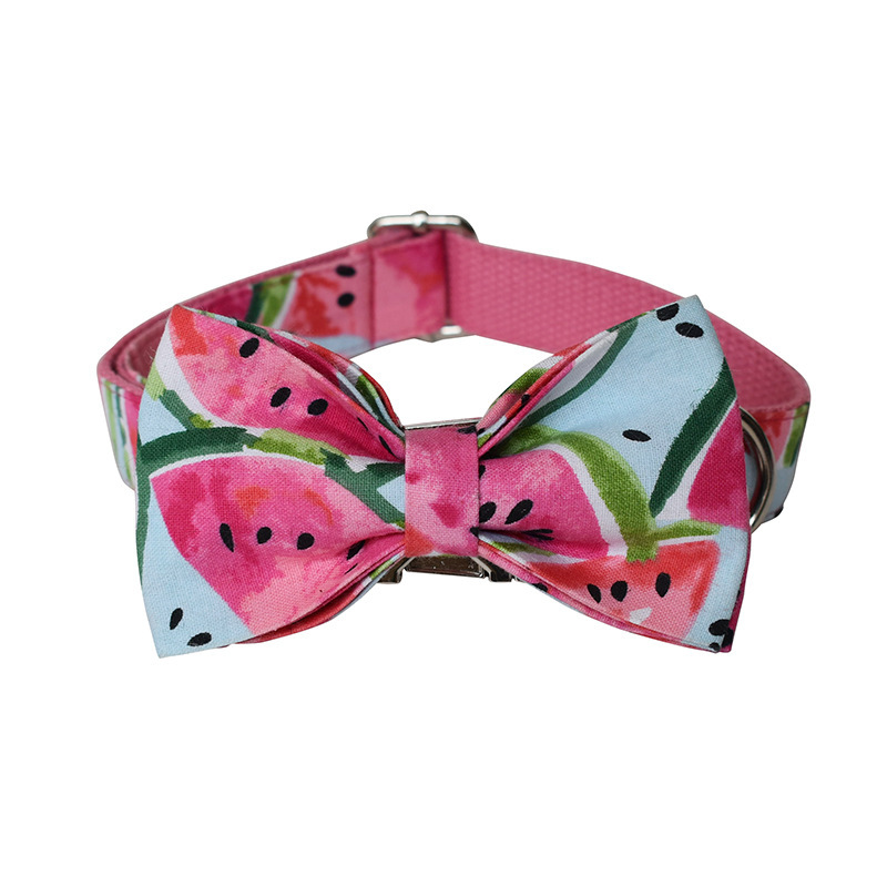 Pet Supplies Dog Collar Pet Leash - Image 2