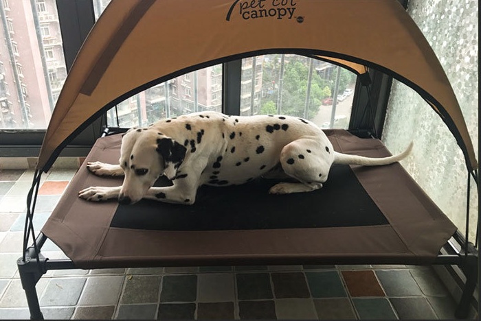 Pet bed dog - Image 2