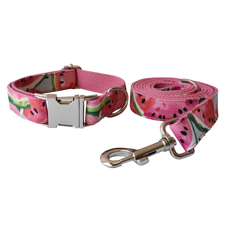 Pet Supplies Dog Collar Pet Leash - Image 3