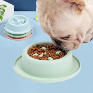 Pet Slow Food Bowl Apparatus